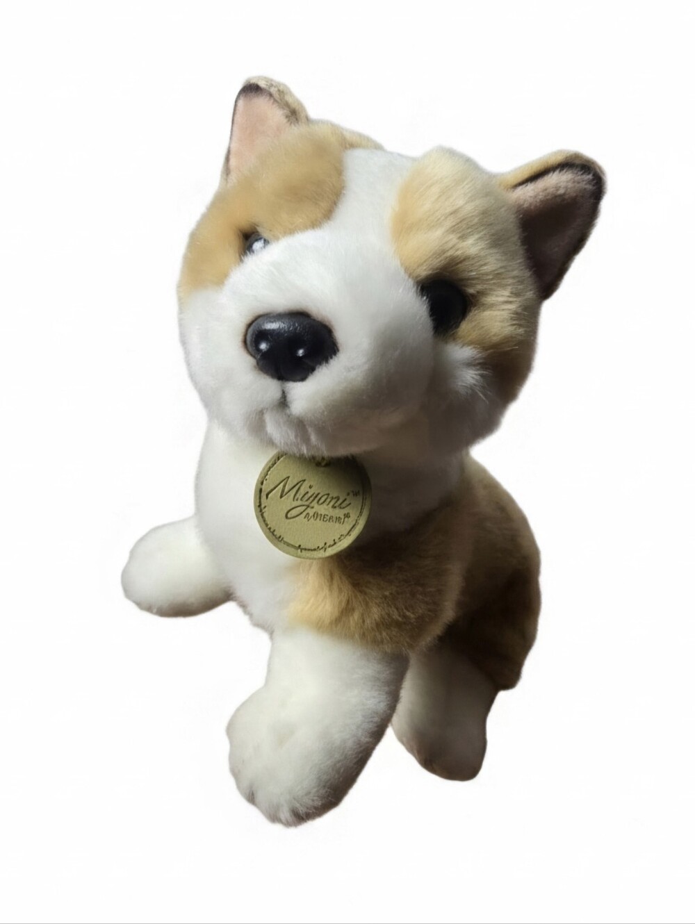 Miyoni Aurora Corgi